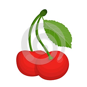 Fresh fruit cherry cartoon vector isolated illustration