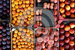 Fresh fruit in crates at the market