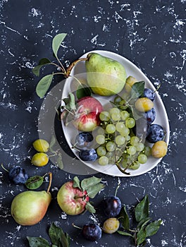 Fresh fruit - grapes, pears, apples, plums on a dark background