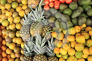 Fresh Fruit at the Market