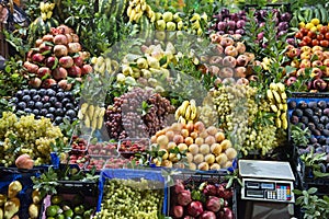 Fresh Fruit Market Stand