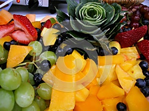 Fresh Fruit Platter