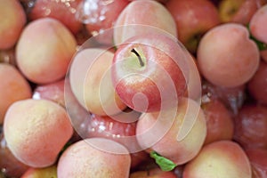 Fresh fruit, red apple