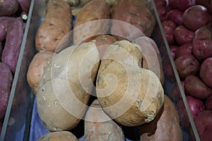 Fresh fruit in a supermarket in Vancouver, Canada