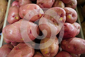 Fresh fruit in a supermarket in Vancouver, Canada