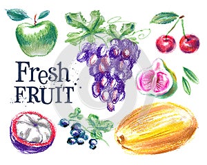 Fresh fruit vector logo design template. ripe food