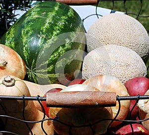 Fresh Fruit and Vegetables