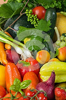 Fresh fruit and vegetables