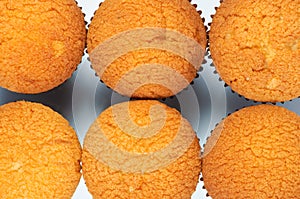 Fresh fruitcakes with packing