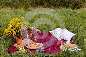 Fresh fruits, berries, flowers on checkered blanket. Summer picnic on the grass.