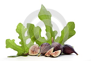 Fresh Fruits of Fig tree with leaves