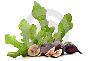 Fresh Fruits of Fig tree with leaves