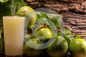 Fresh fruits and glass of passion fruit Passiflora edulis juice amid green leaves and wooden background photo
