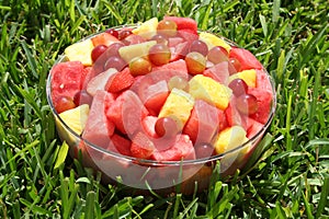 Fresh fruits on the grass