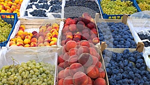 Fresh fruits, peaches, plums, grapes, nectarines on supermarket shelves. Retail industry. Farmers market. Discount. Grocery shoppi