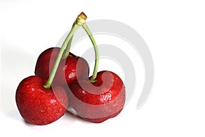 Fresh fruits Sweet cherry isolated on white background