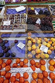 Fresh fruits to sale at the municipal market of Braganca Paulista, interior of Sao Paulo state, Brazil