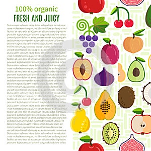 Fresh Fruits Vector Collection.