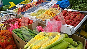 Fresh fruits and vegetables on farmer market. Corn, peppers, tomatoes, plums, peaches, apricots, garlic, grapes on supermarket she