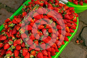 Fresh fruits and vegetables at the local market in Lima