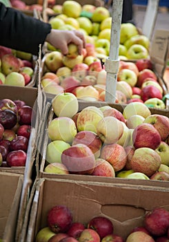 Fresh Fruits And Vegetables At Market