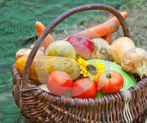 Fresh fruits and vegetables in a wicker basket