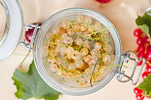 Fresh fruits white red currants jars preparations