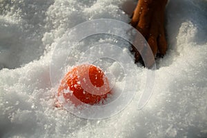 Fresh fruits in white snow during winter