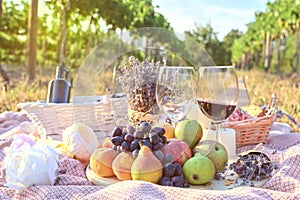 Fresh fruits and wine glass picnic outdoors. Vine yard background tasty food lifestyle naturals