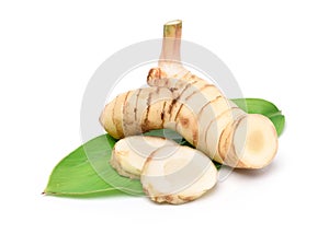 Fresh galangal rhizomes with sliced and green leaf