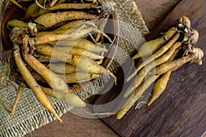 Fresh galingale (Boesenbergia rotunda) on wooden table