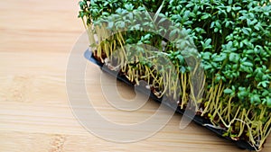 Fresh Garden Cress on wooden background