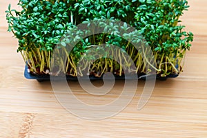 Fresh Garden Cress on wooden background