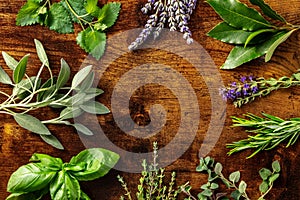 Fresh garden herbs banner with copy space. An overhead flat lay shot