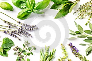 Fresh garden herbs banner with copy space. An overhead flat lay shot