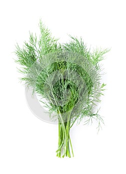 Fresh garden herbs. Dill