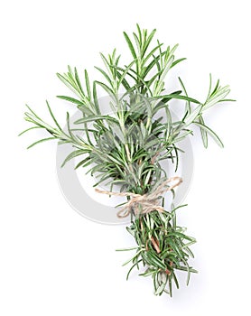 Fresh garden herbs. Rosemary