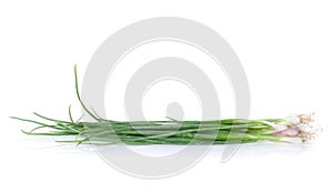 Fresh garden herbs. Spring onion