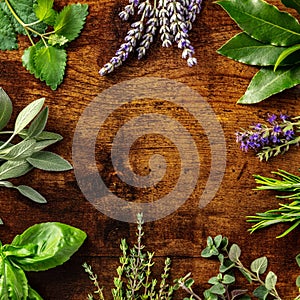 Fresh garden herbs square banner with a place for text. An overhead