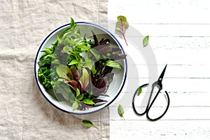 Fresh garden herbs in a vintage plate