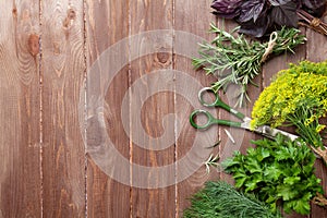 Fresh garden herbs on wooden table