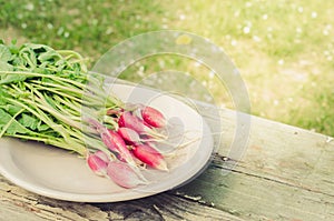 Fresh garden radish in a bowl/fresh garden radish in a bowl on an old wooden background