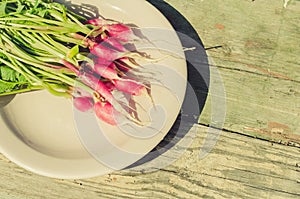 Fresh garden radish in a bowl/fresh garden radish in a bowl on an old wooden background, top view