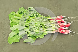 Fresh garden radish on a concrete background/fresh garden radish on a dark concrete background, top view