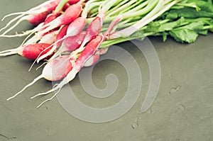 Fresh garden radish on a dark concrete background/fresh garden radish on a dark concrete background, selective focus and copyspace