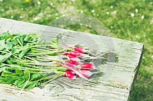 Fresh garden radish on an old wooden background/fresh garden radish on an old wooden background, top view