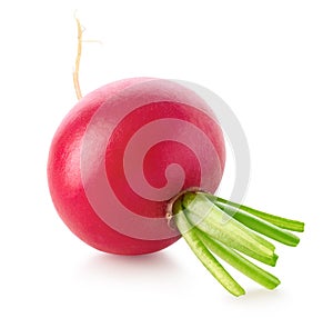 Fresh garden radish on white background