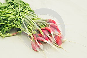 Fresh garden radish on a white background/fresh garden radish on a white background, selective focus