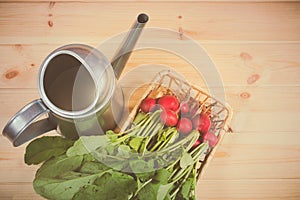 Fresh garden radish in wicker basket and watering can