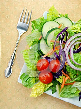 Fresh Garden Salad on Square Plate with Fork